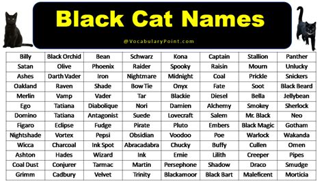 black anime cat names|More.